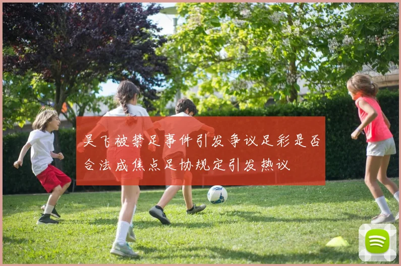 吴飞被禁足事件引发争议足彩是否合法成焦点足协规定引发热议