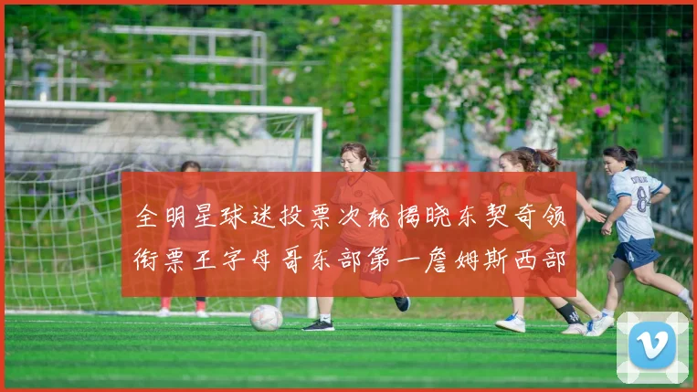 全明星球迷投票次轮揭晓东契奇领衔票王字母哥东部第一詹姆斯西部第八