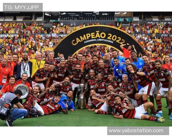 弗拉门戈球迷欢庆夺冠喜悦中奖杯疑似受损引发关注